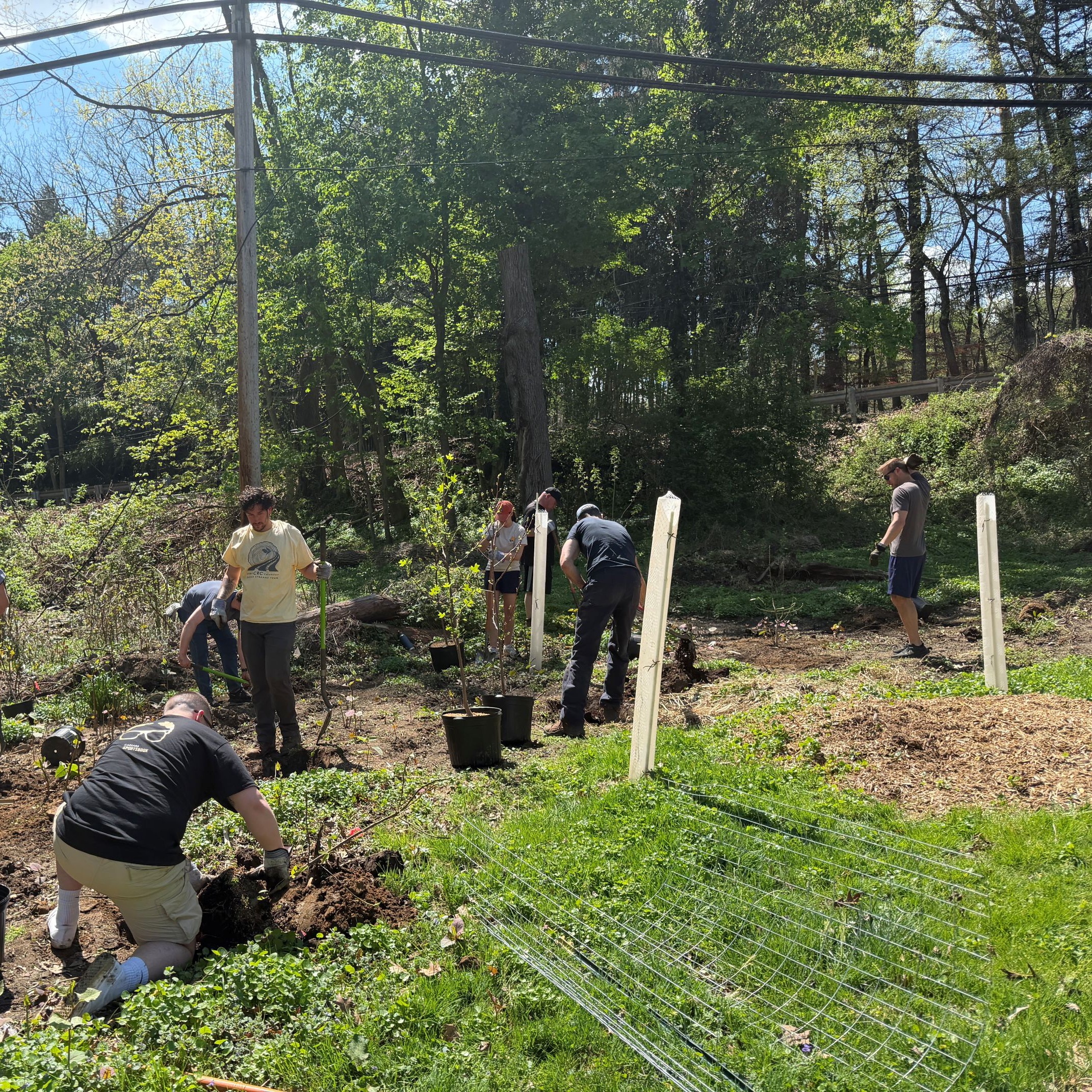 CRC Tree Planting 3