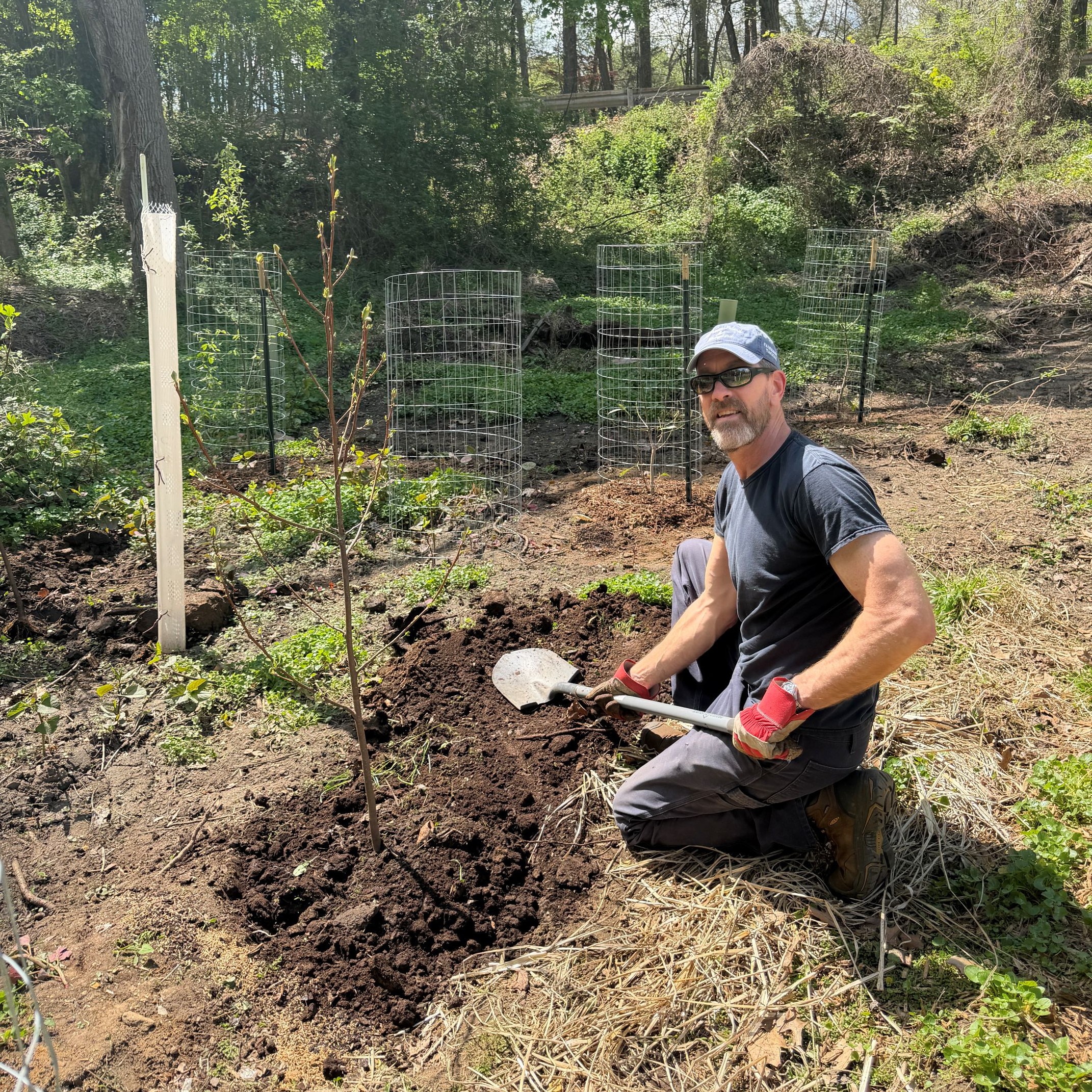CRC Tree Planting 5